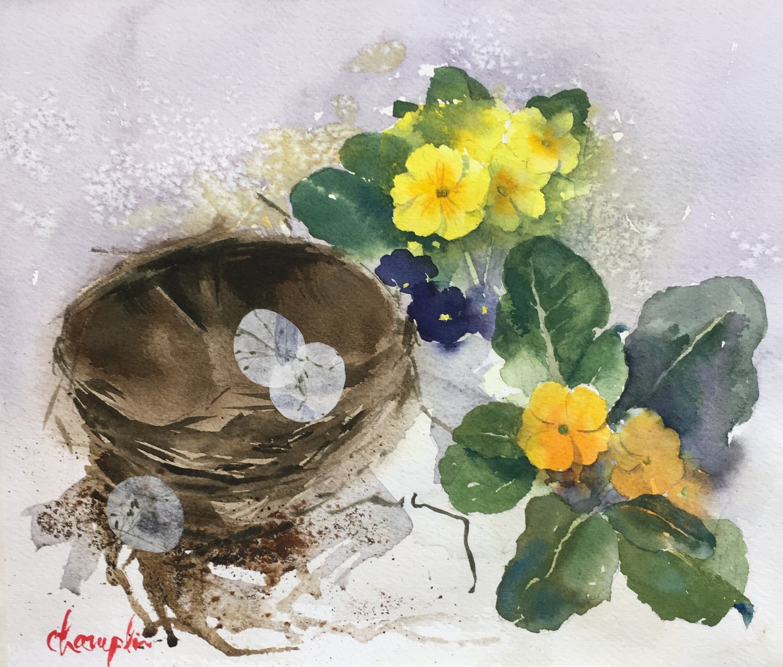 Vera Champlin "Nest With Primroses" Watercolor $500