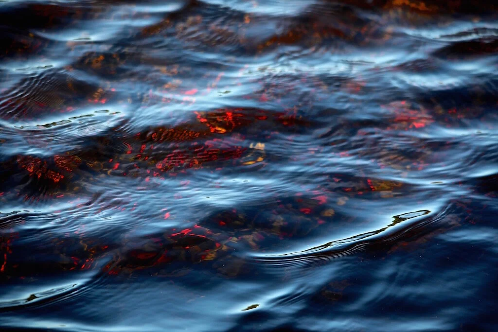 8B3A1466 - Version 3 (1).JPG