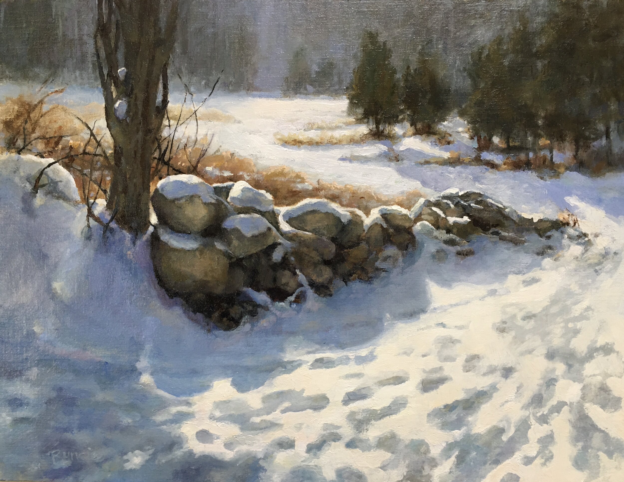 D58C04EE-50CD-4FF2-BAD9-0293F96B1DF0 (1).jpeg