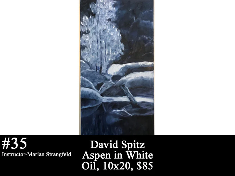35davidspitz.jpg