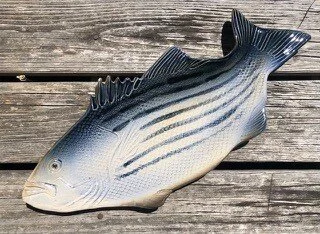 Rosie Nadeau,Porcelain-Striped Bass