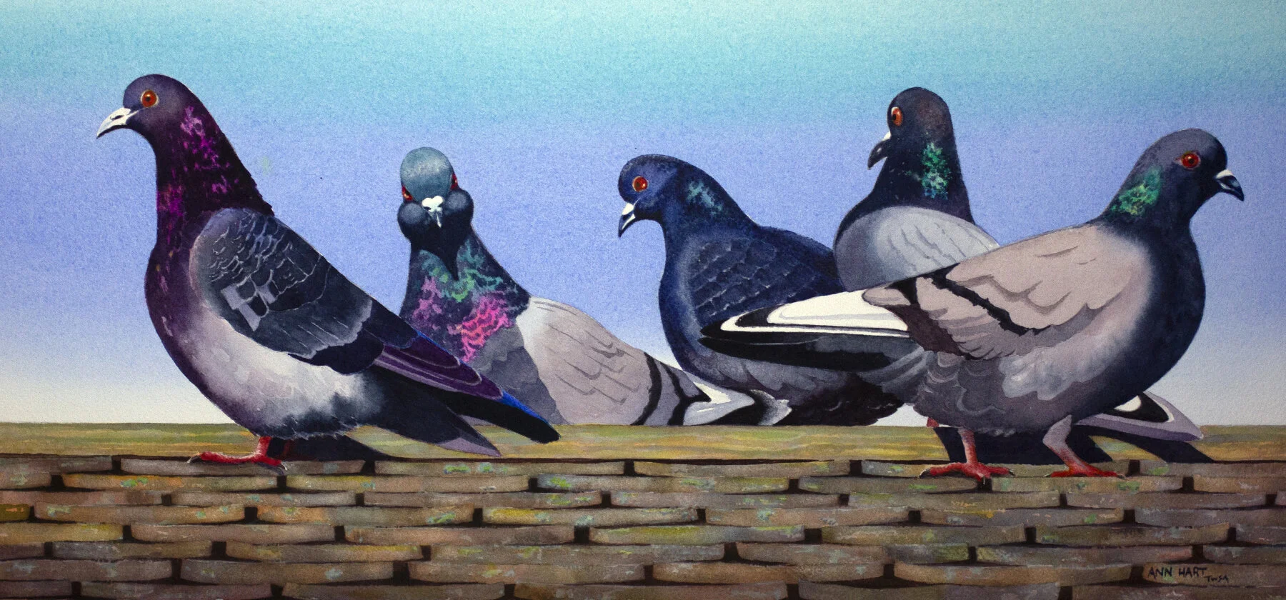 Ann	Hart	Keeping an Eye Out, Provincetown	transparent watercolor	 $1,650 	19 x 9 (image)
