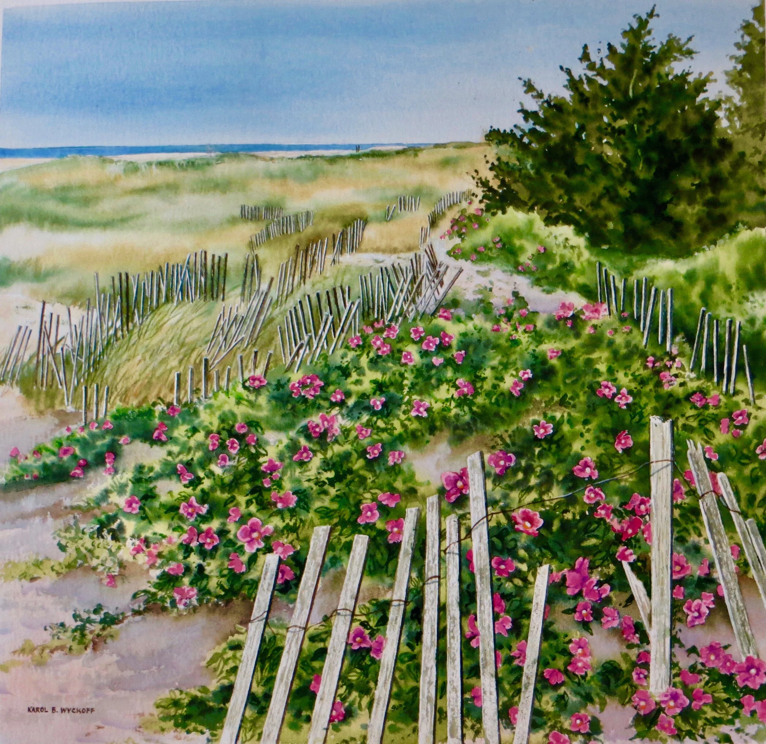 Karol	Wyckoff	ROSA REGOSA STROLL	Watercolor	 $1,250 	26" X 26"