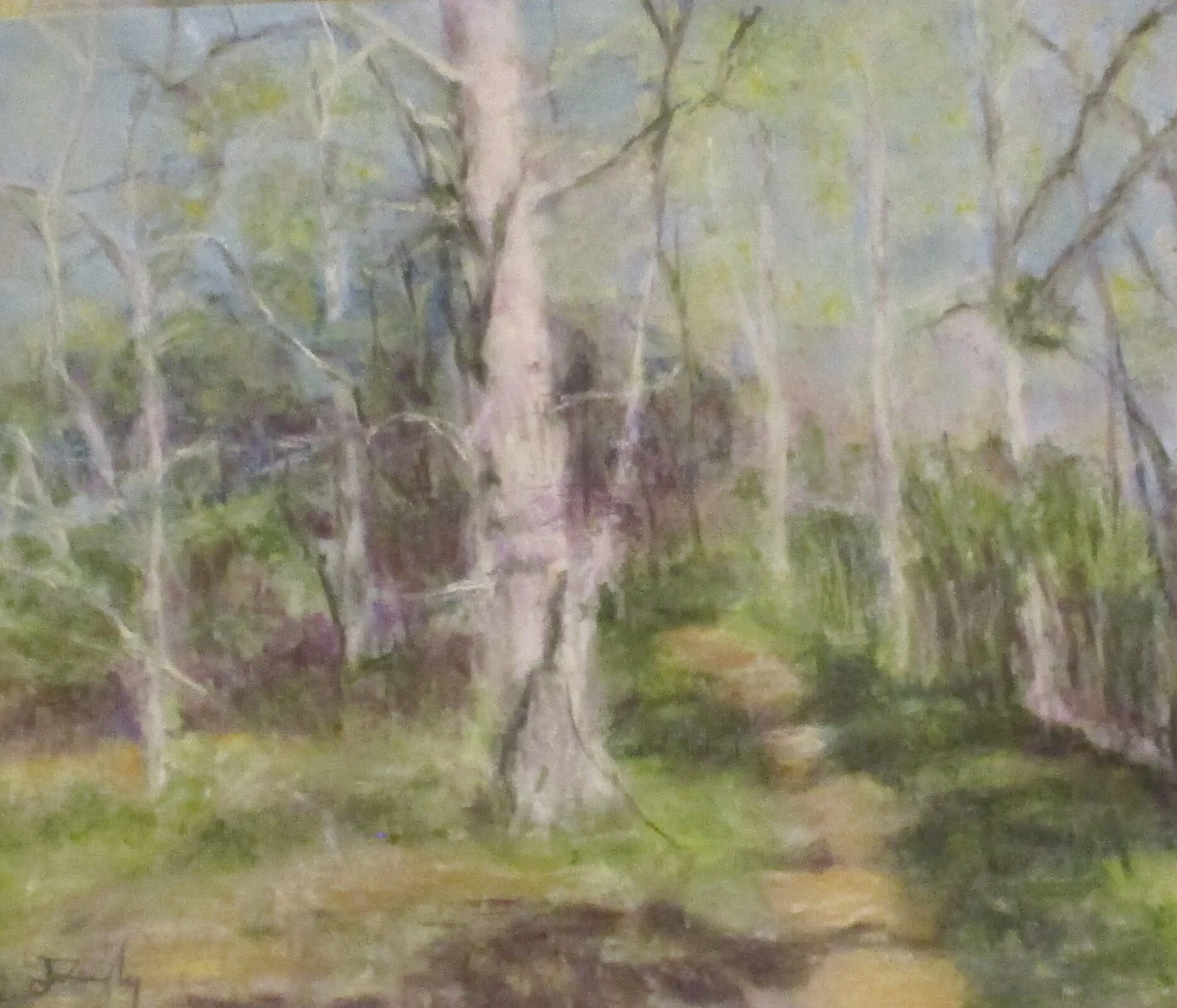 conservation land. 1aaa.jpg