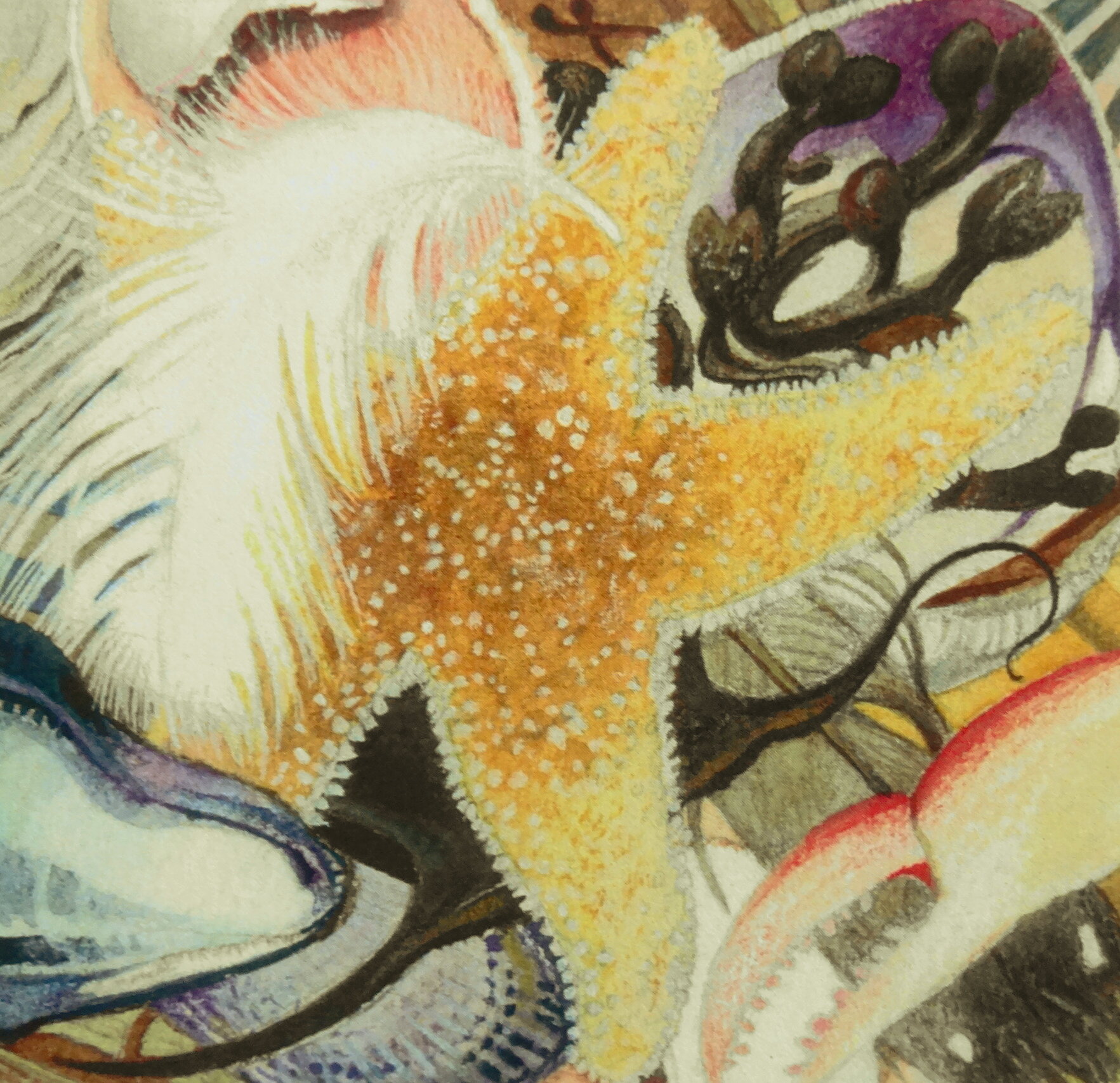 Margaret	Burdick	Jetty Jetsam	Watercolor	 $250 
