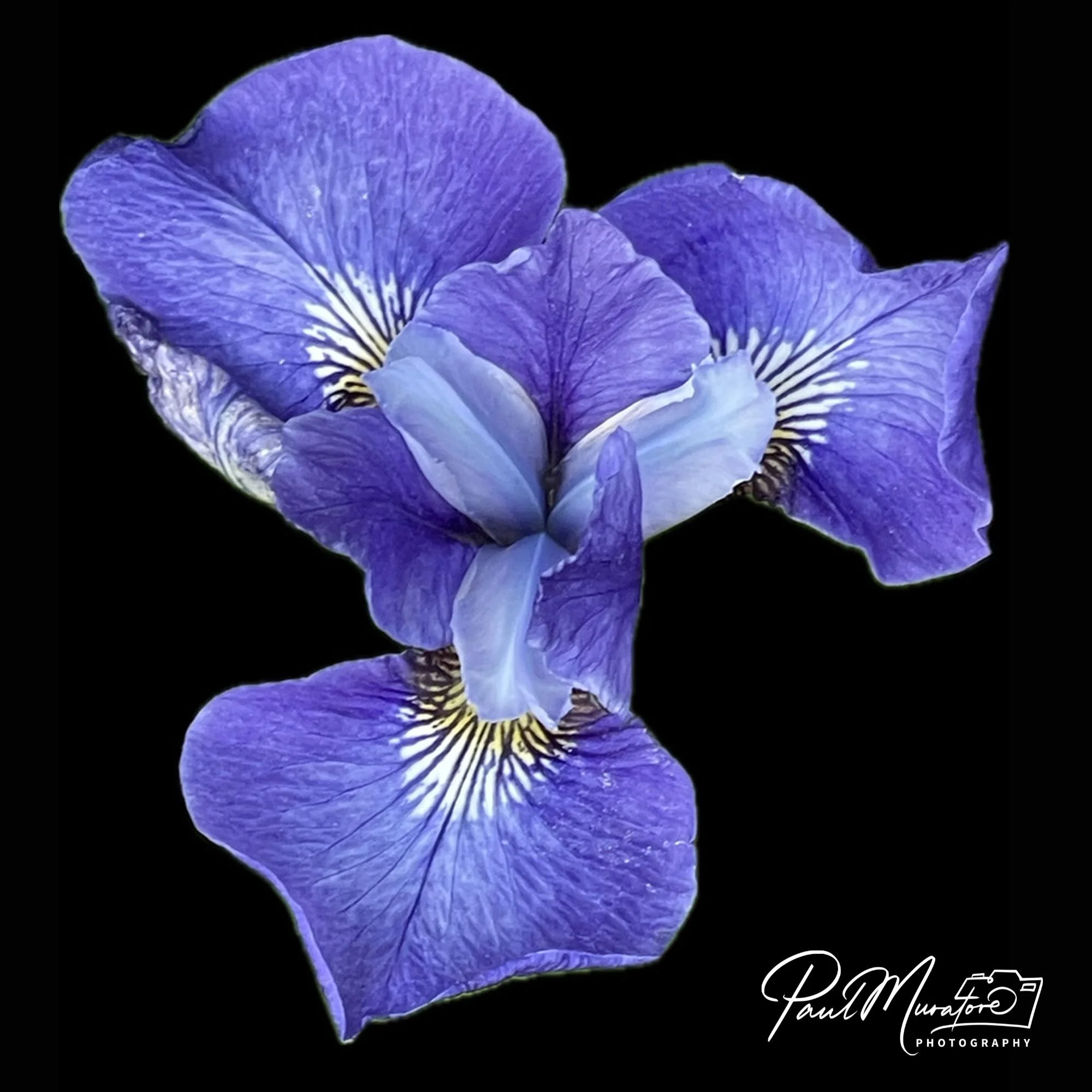 Untitled (14 x 11 in) (10 x 8 in).jpg