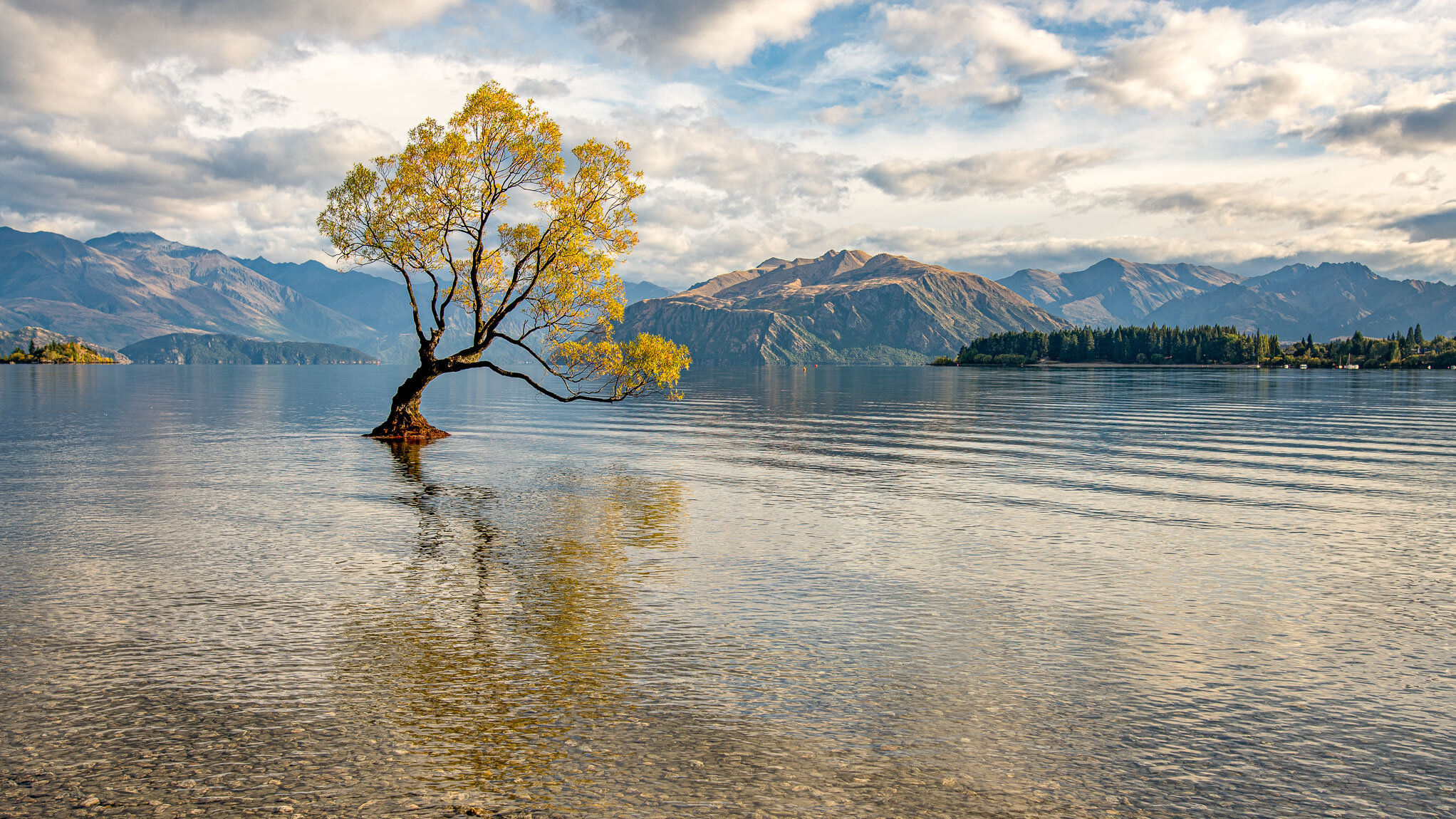Nancy	Jorgensen	Tranquil Morning on Lake Wanaka, NZ	 $250 