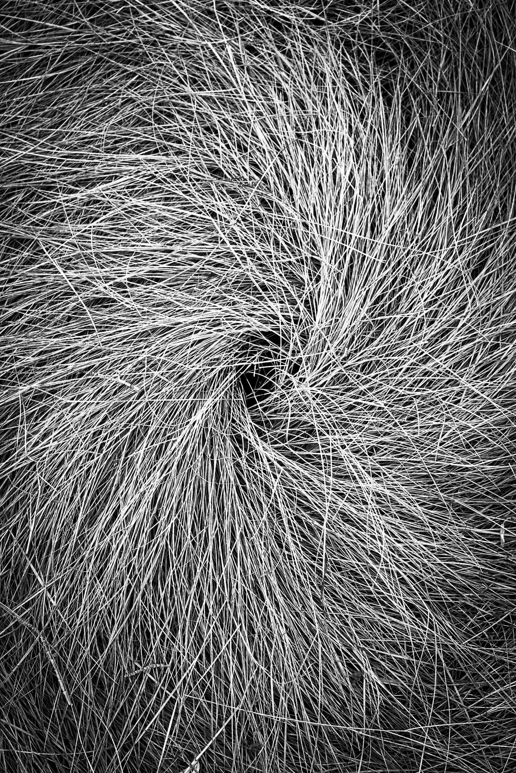 Honorable Mention- Chris Doyle	Pinwheel  $265