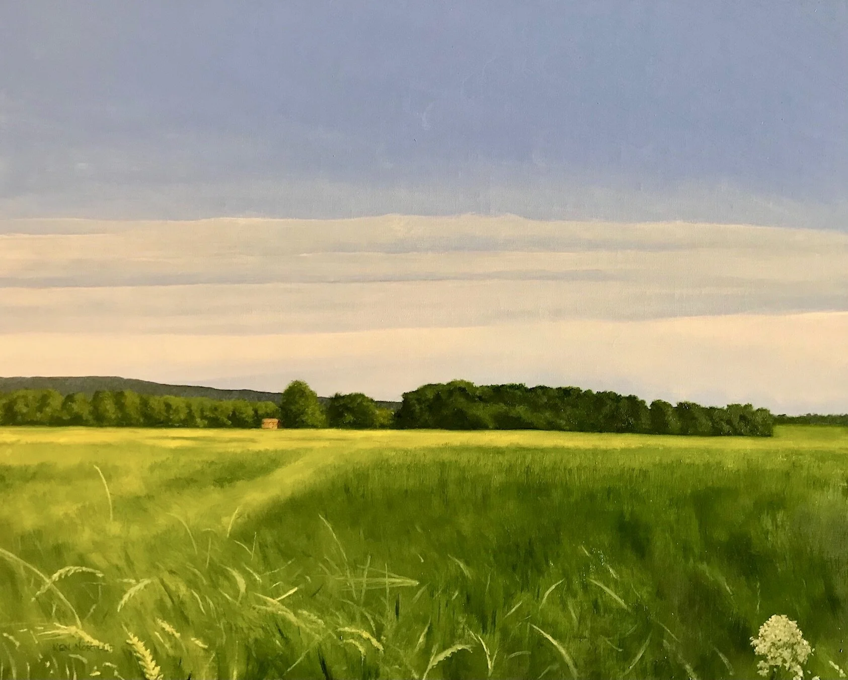 Ken	Northup	In a Swiss Meadow	Oil	 $1,500 