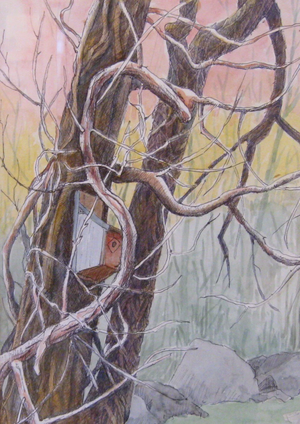 Peggy M.	Hosford	Bird House	Watercolor & Ink	 $275 