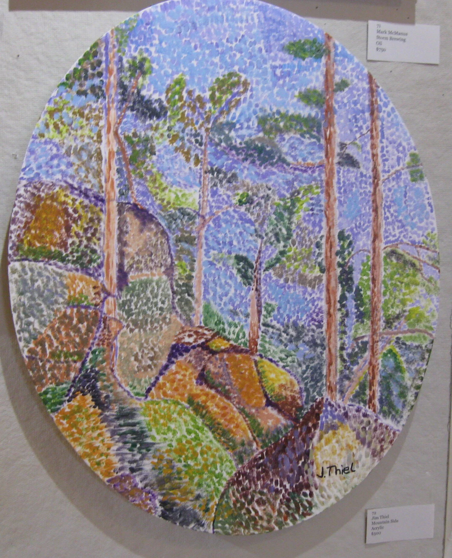 Jim	Thiel	Mountain Side	Acrylic	 $500 