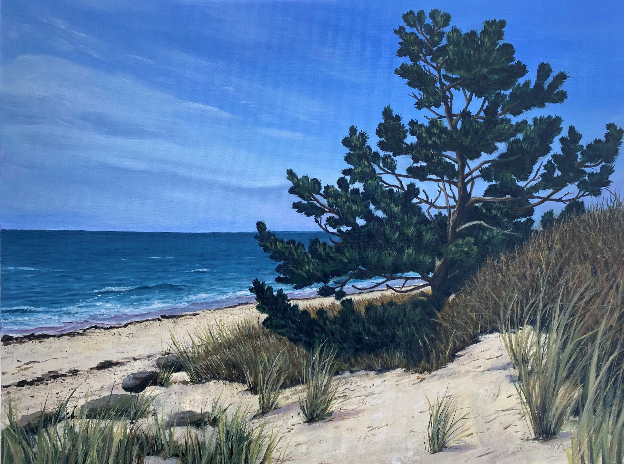 Karen	Shortsleeve	West Harwich	Oil	 $1,200 