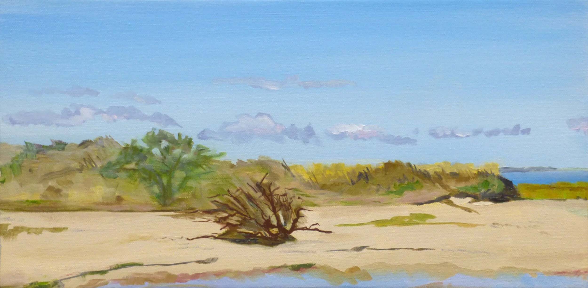 Rebecca	Gmucs	Cape Cod September	Oil	 $575 