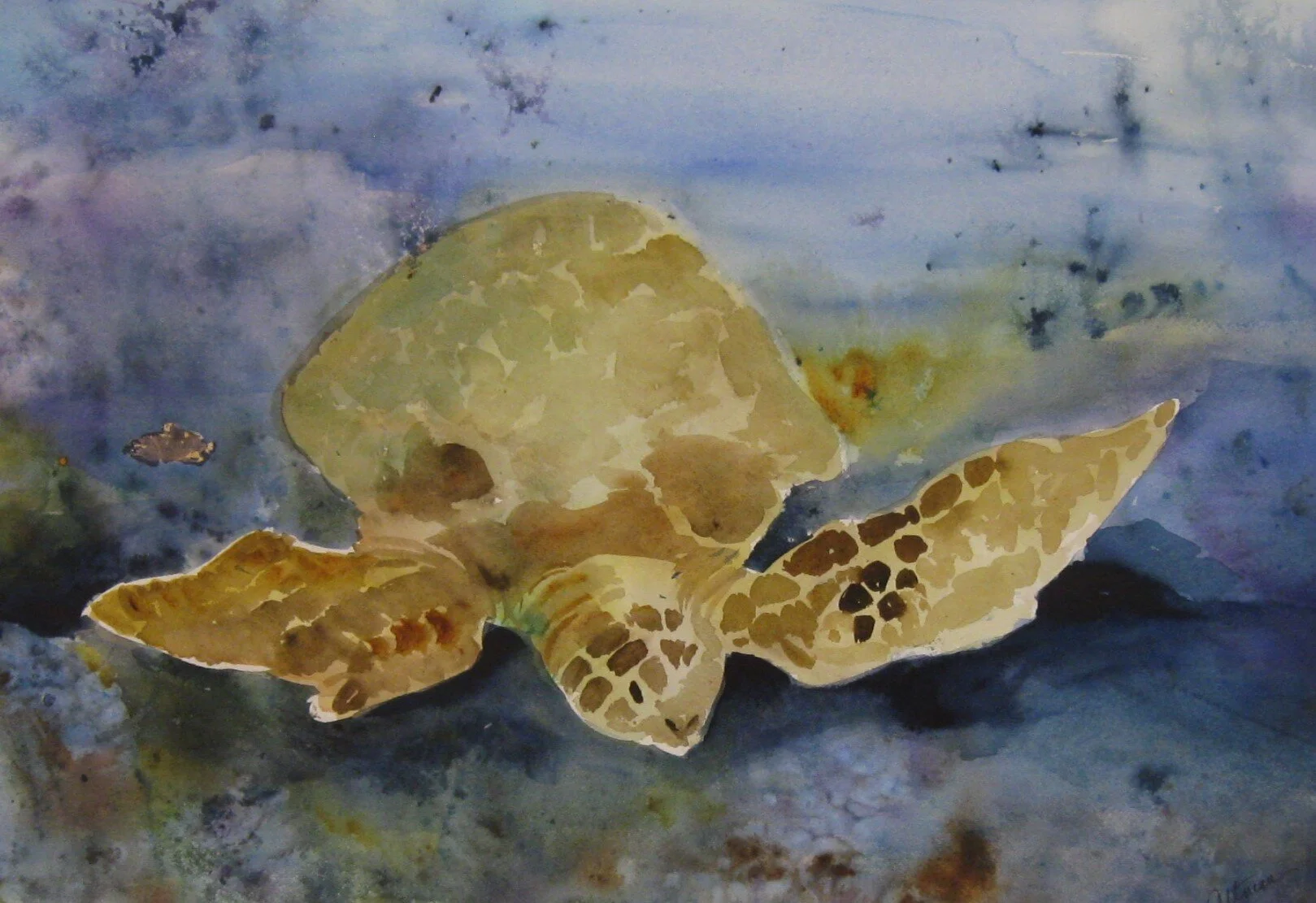 Leslie	Altman	Sea Turtle	Watercolor	 $500 