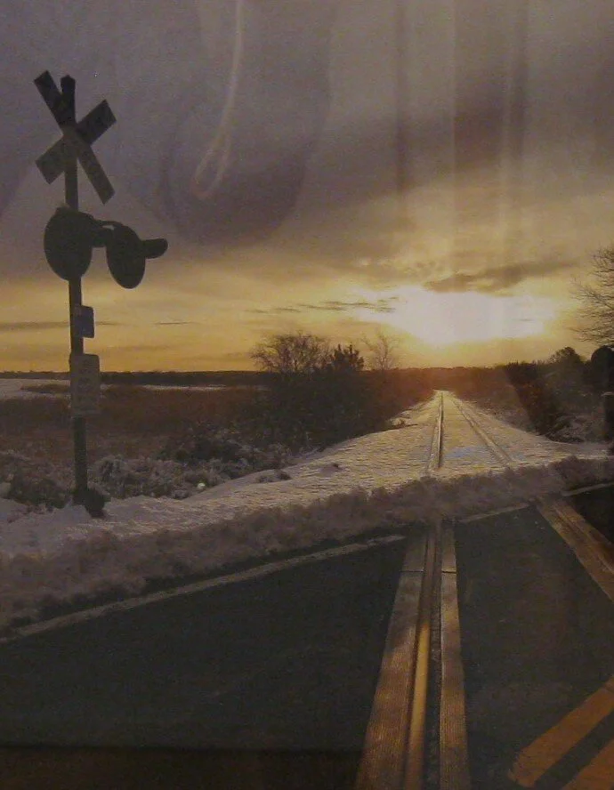 Cathy	Walsman	Looking Forward	Photography	 $50 