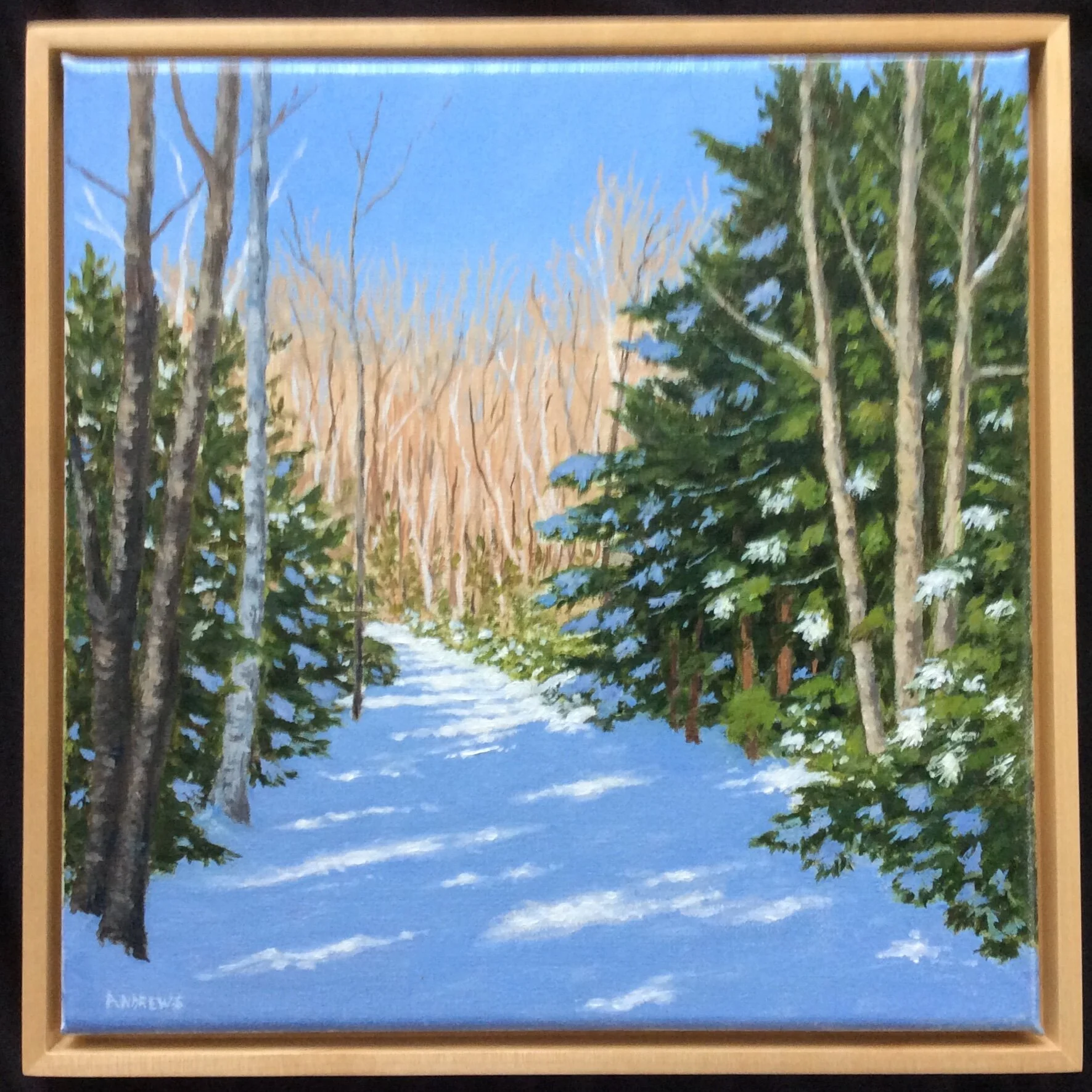 Honorable Mention- David Andrews-Winter Woods: Oil