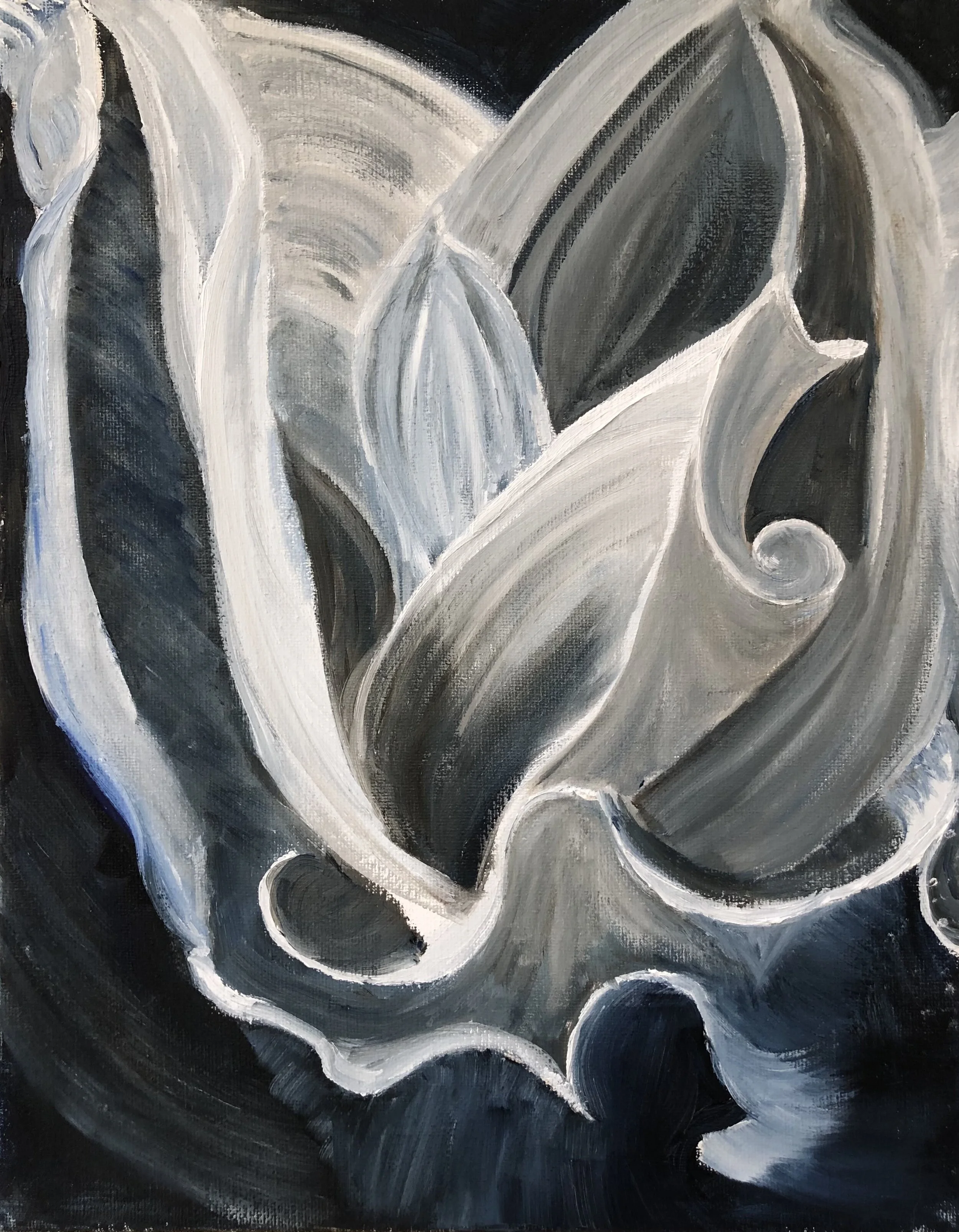 Nancy Cooper - Ansel Adams  copy.jpg