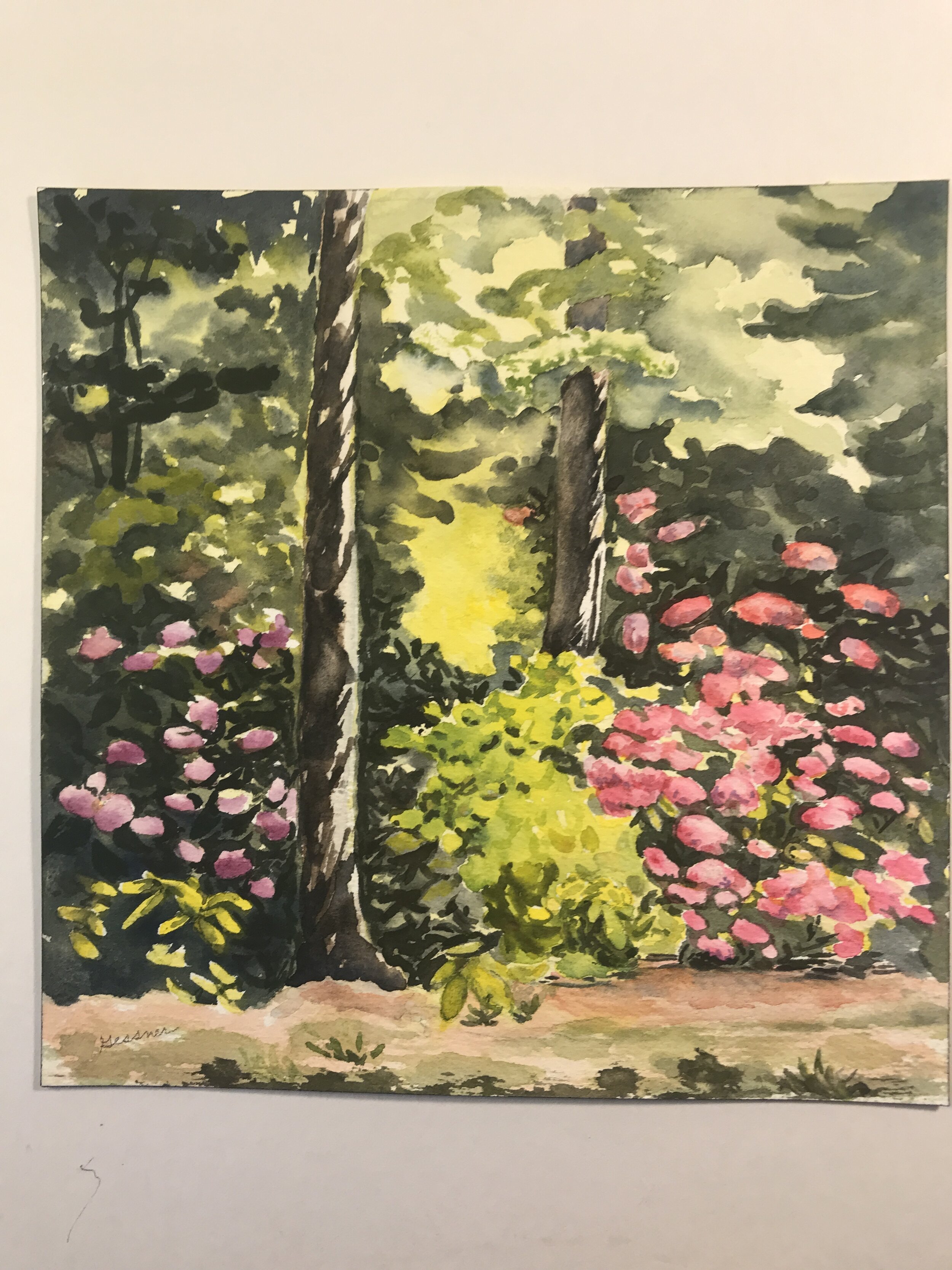 Ann	Gessner	Rhododendron Dell	Watercolor	 $300 