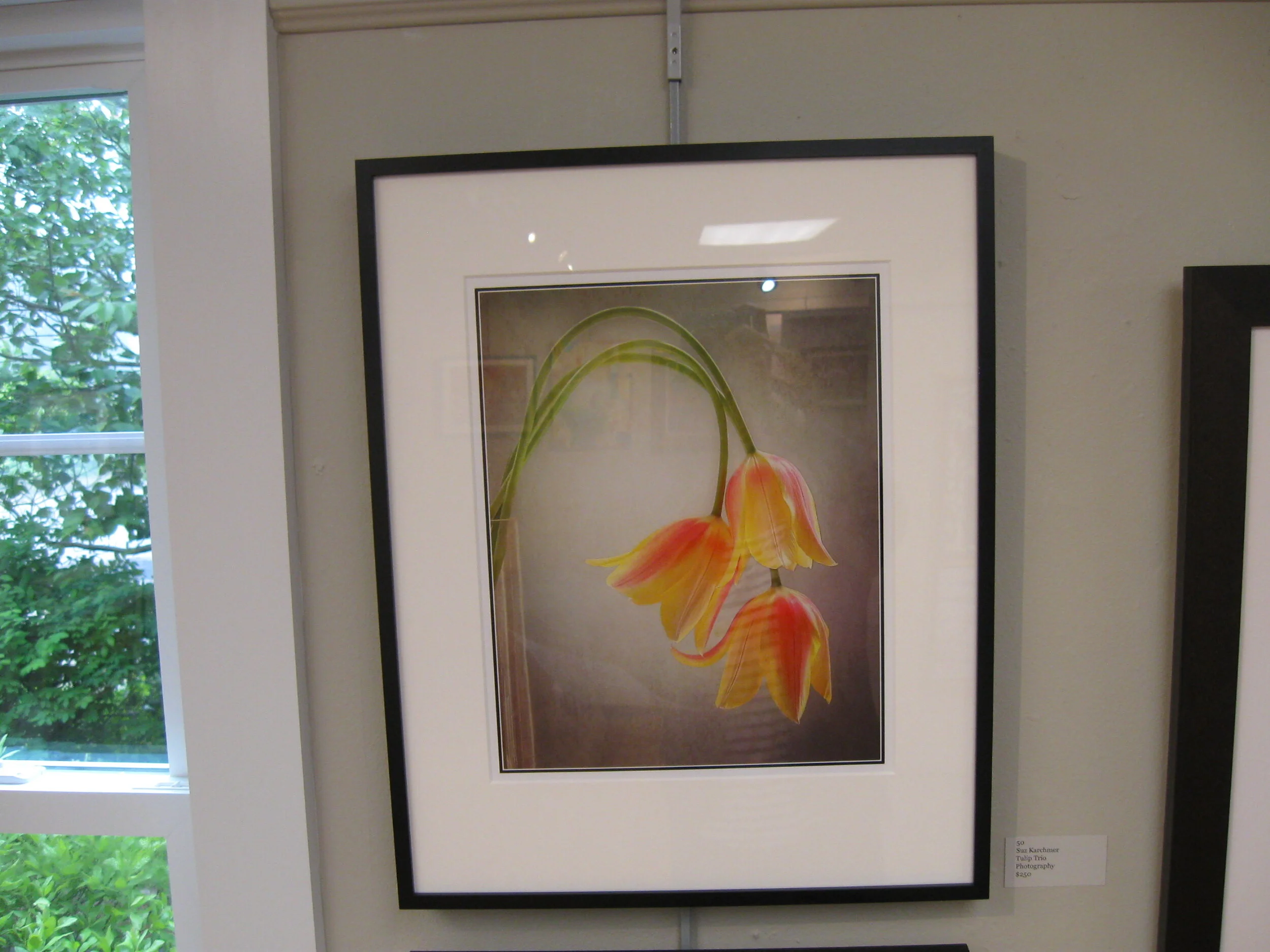 Suz	Karchmer	Tulip Trio	Photography	$250 