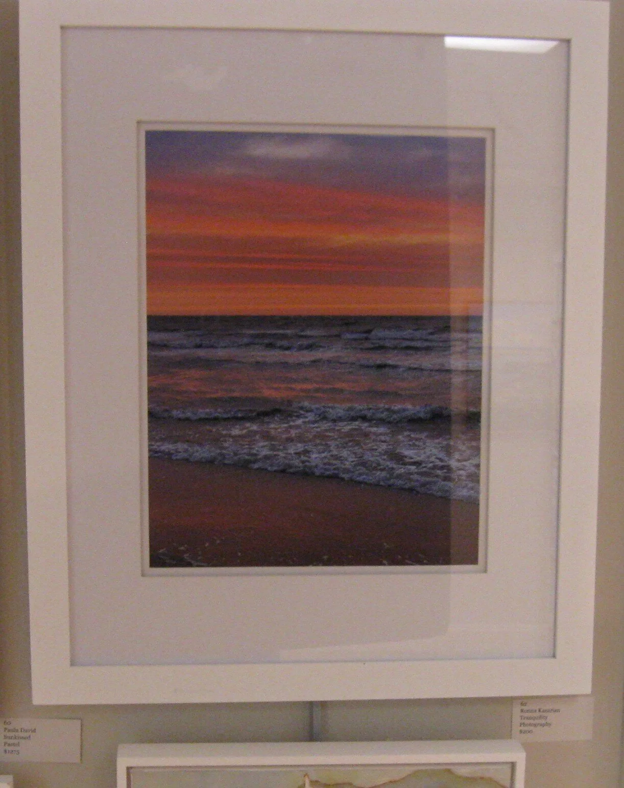 Ronna	Kazarian	Tranquility	Photography	$200 