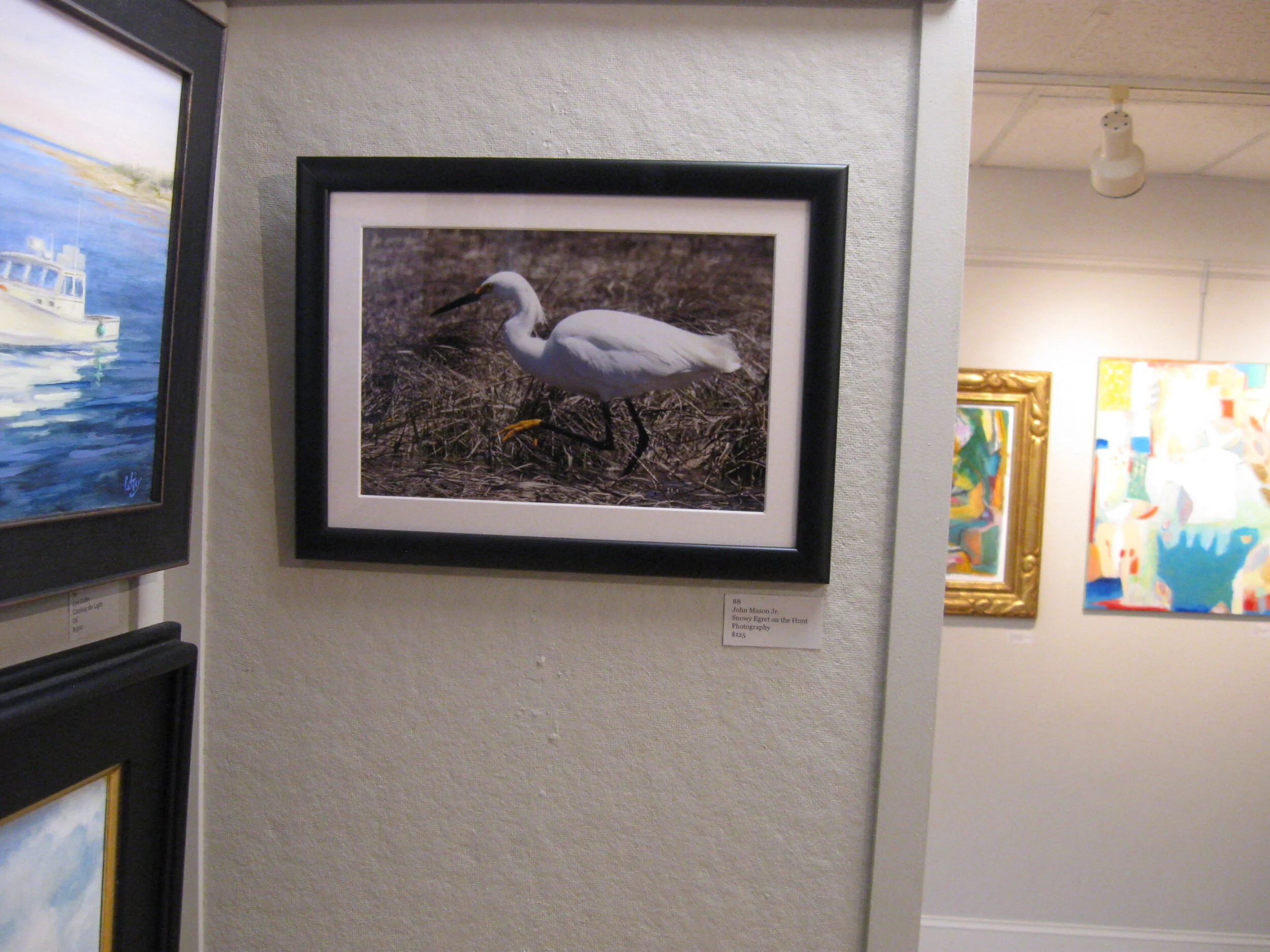 John	Mason Jr.	Snowy Egret on the Hunt	Photography	$125 