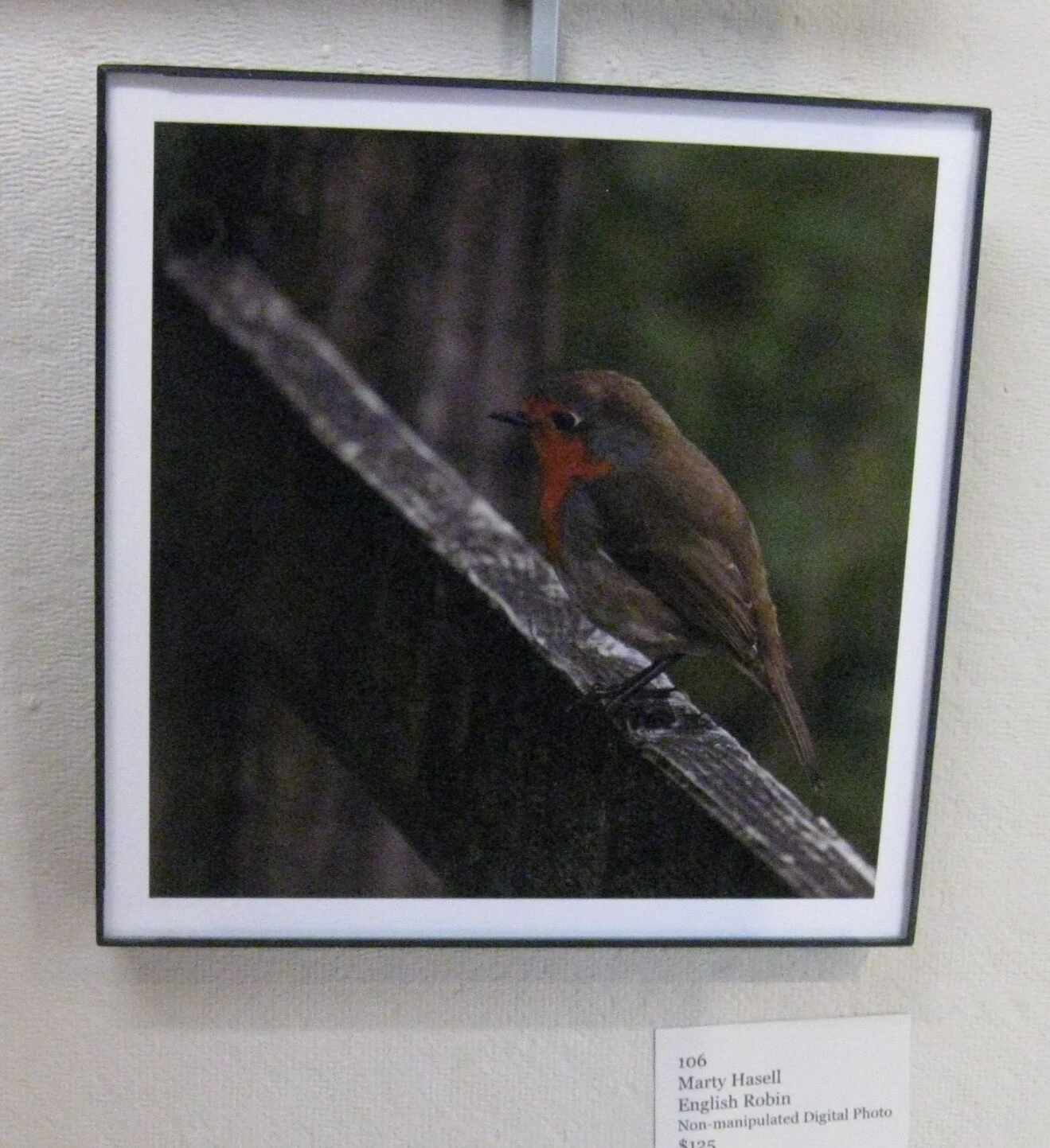 Marty	Hasell	English Robin	Non-manipulated Digital Photo	$125 