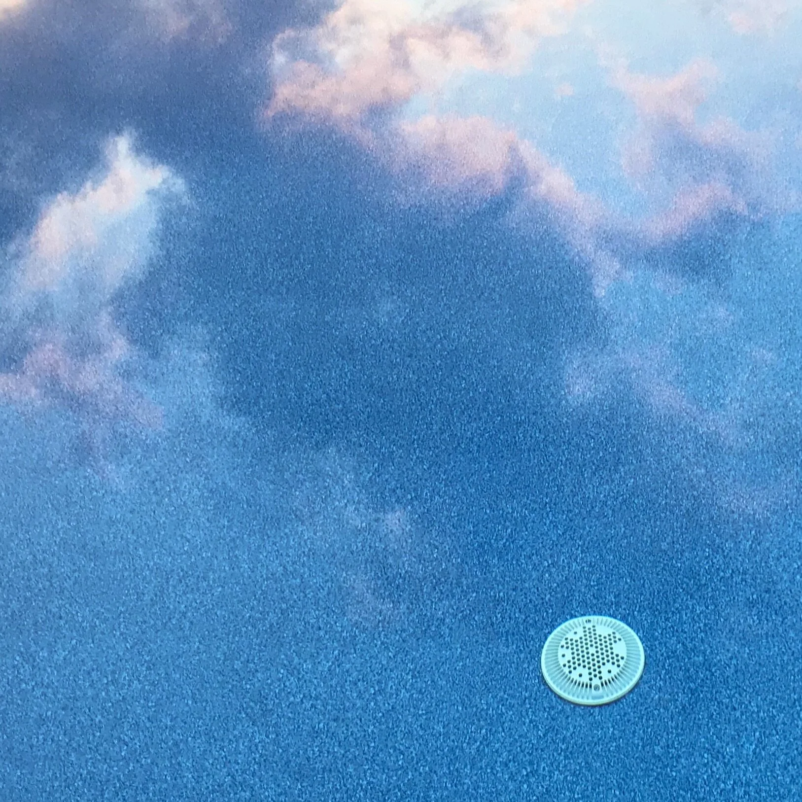 Susan	O'Connor	Jump In	Photography	 $100 