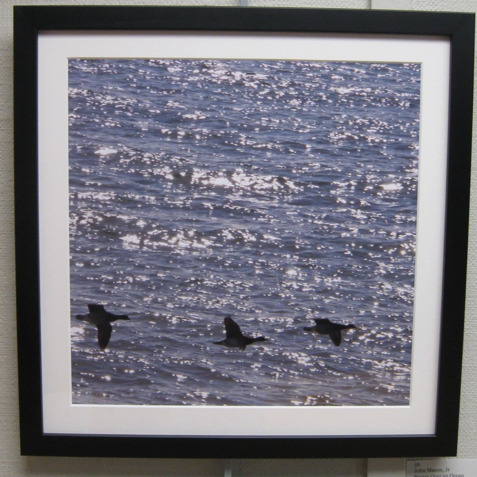 John	Mason, Jr	Brants Over an Ocean	Photography	 $125 