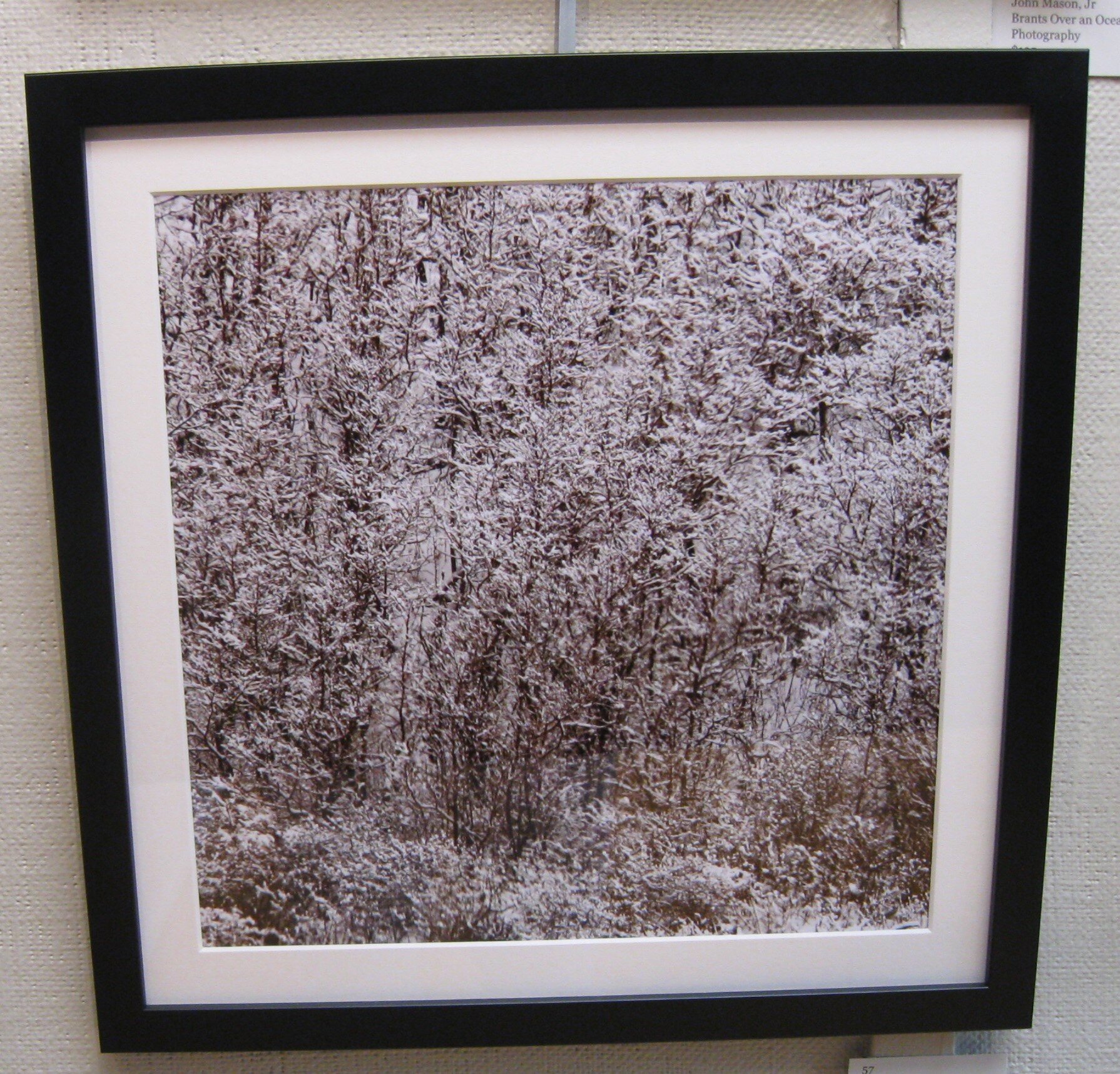 John	Mason, Jr	Cape Cod Winter: 2021	Photography	 $125 