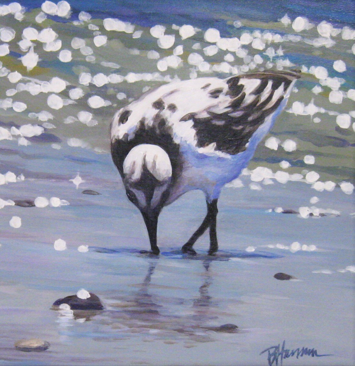 Barbara	Harmon	Shorebird Snacking	Acrylic	 $250 
