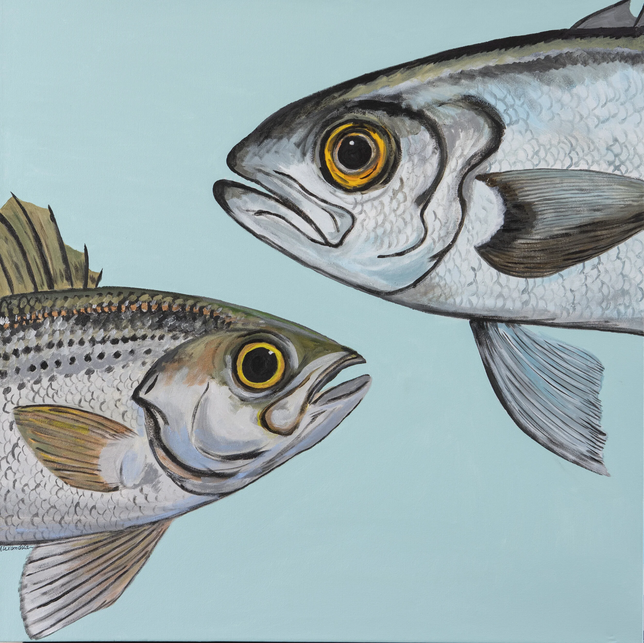 Alexandria	Boudreau	Take Two	Acrylic	 $900 