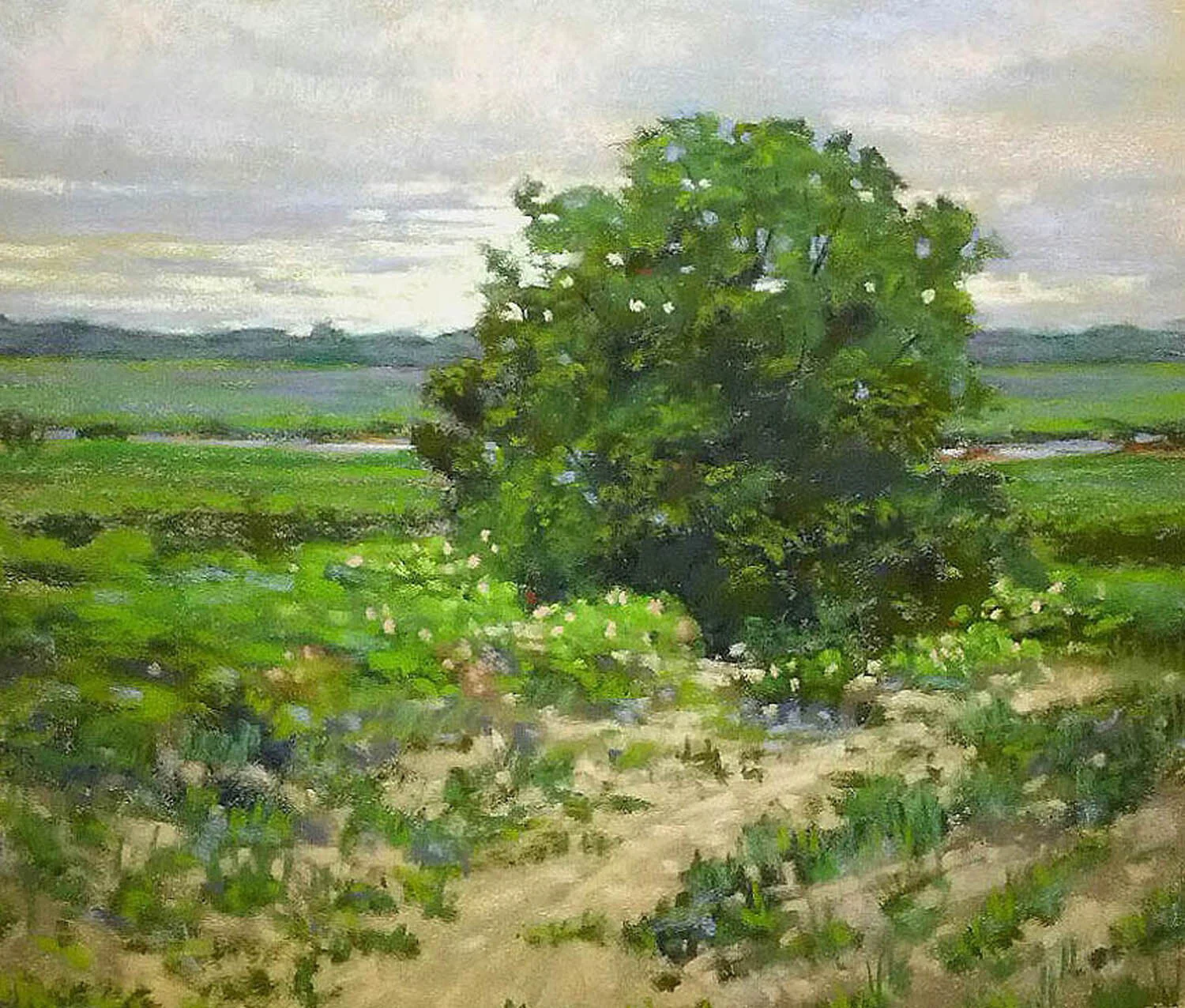 Gary	Ozias- Plum Island 	 $400 