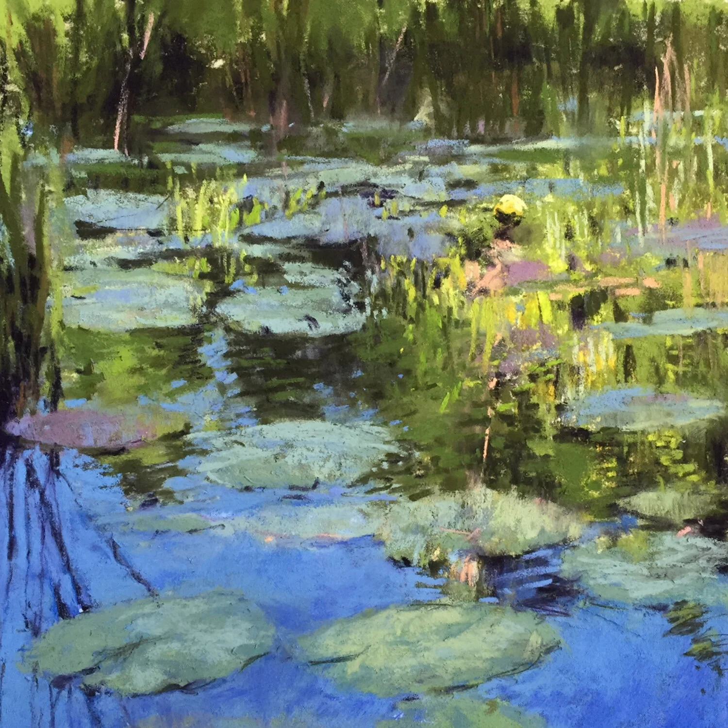 Diane	Sawyer-	On the Pond 	 $600 