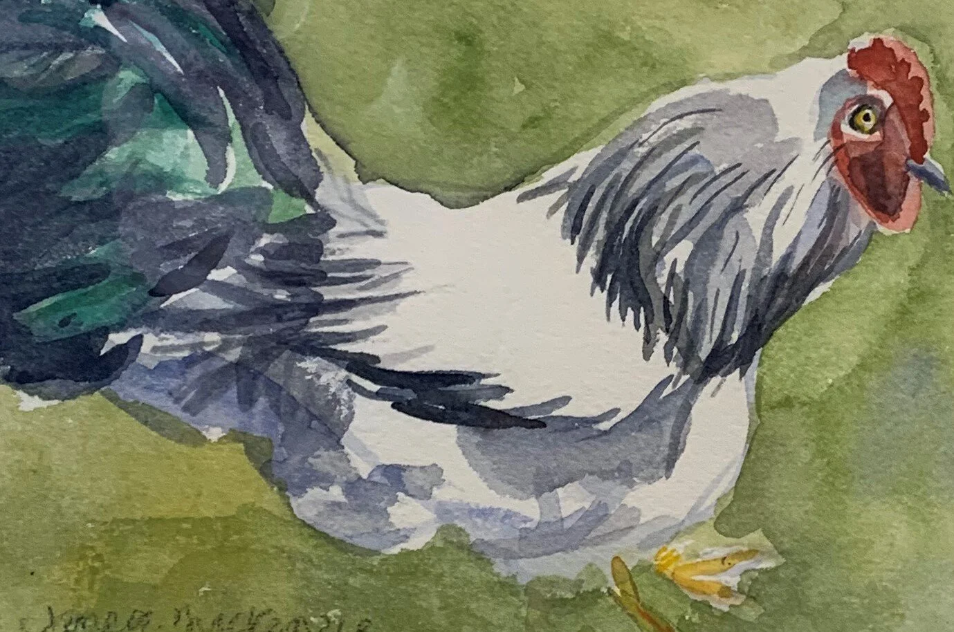 Jane A. 	MacKenzie-	Fred	Watercolor	 $300 