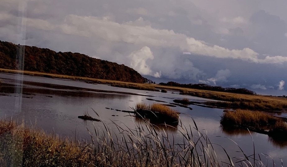 Diane	Jordan	Ellisville Marsh	Photography	 $400 