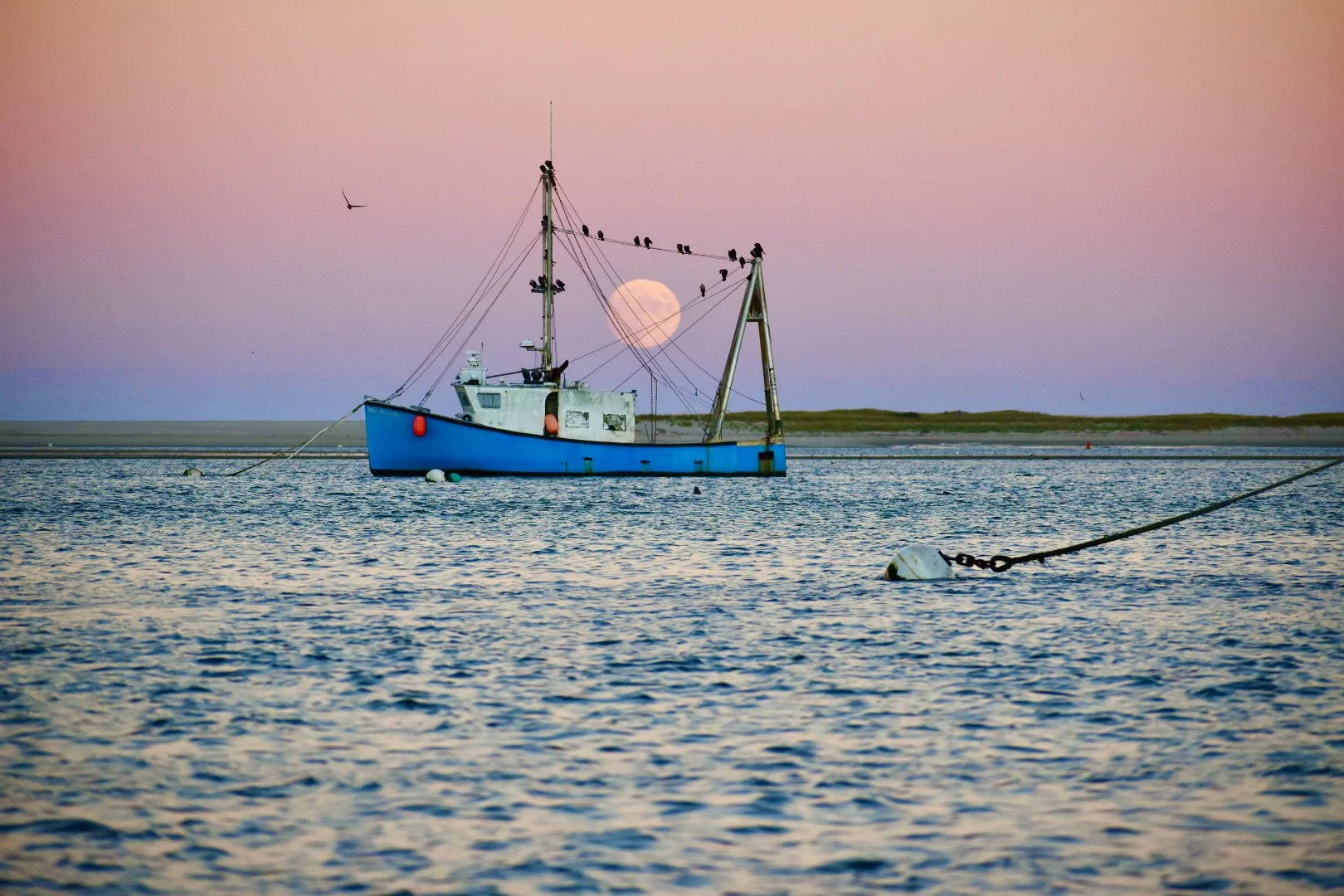 Dan	Powers	Mooncatcher	Photography	 $265 