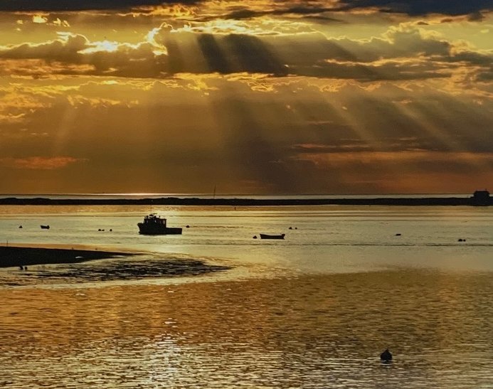 David	Kinsley	Sunrise at Chatham Pier	Photography	 $195 	