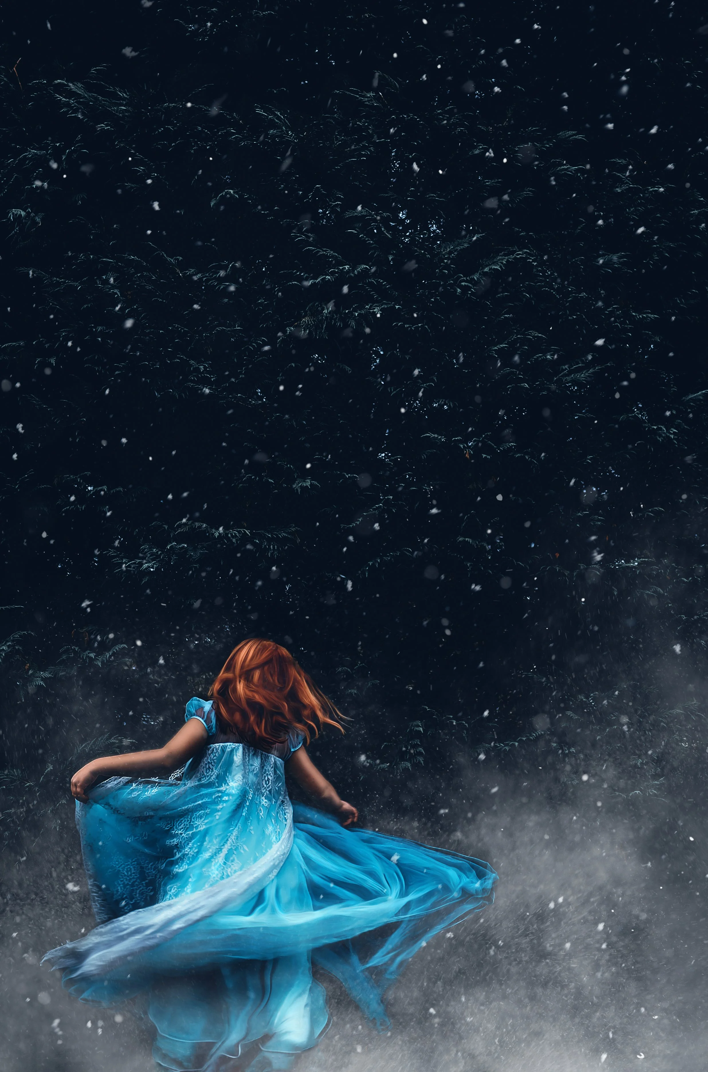 Best in Show Alicea Kelley- Snowfall