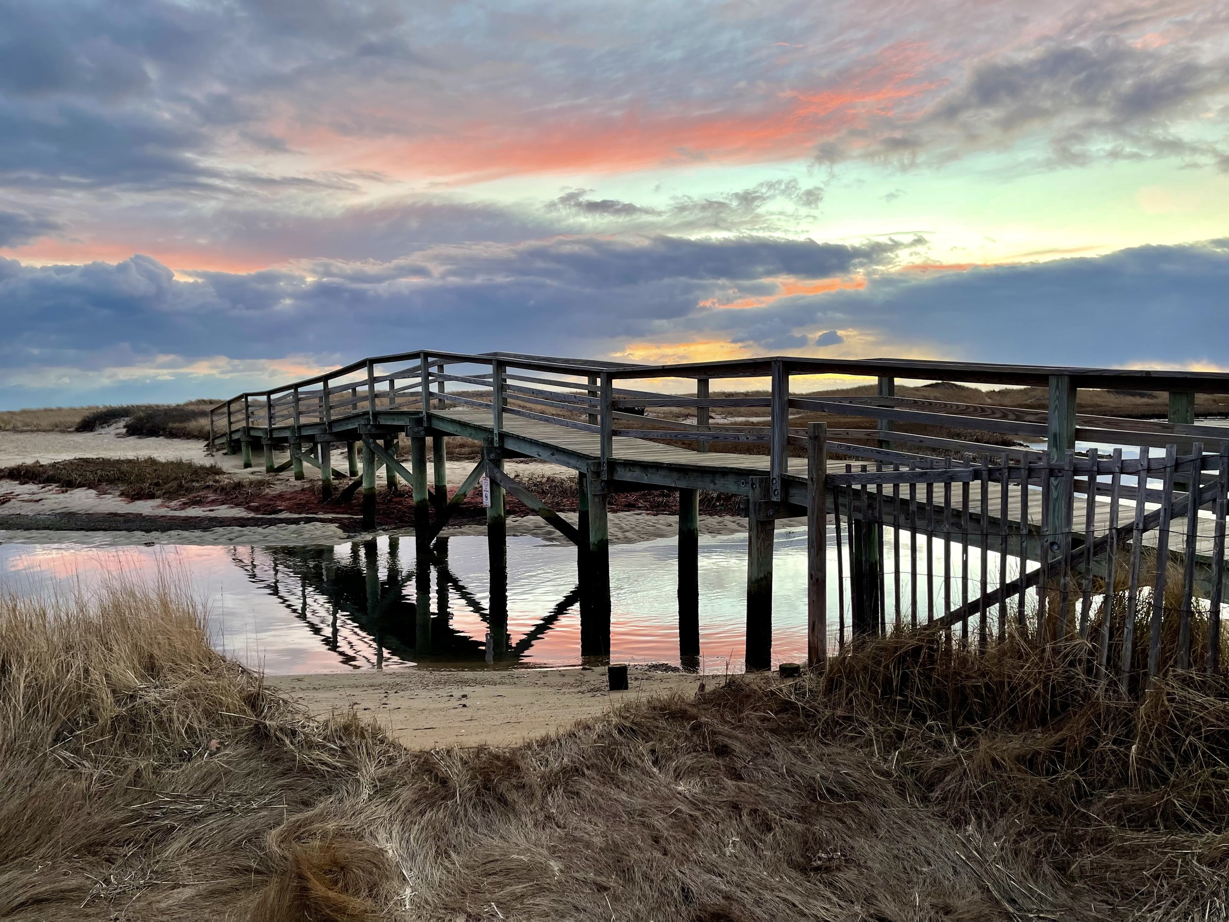 Honorable Mention-Dan Powers-Majestic Ridgevale