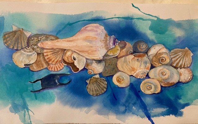 Peg	Flood	Seashells	Watercolor	 $500 	Ann Hart