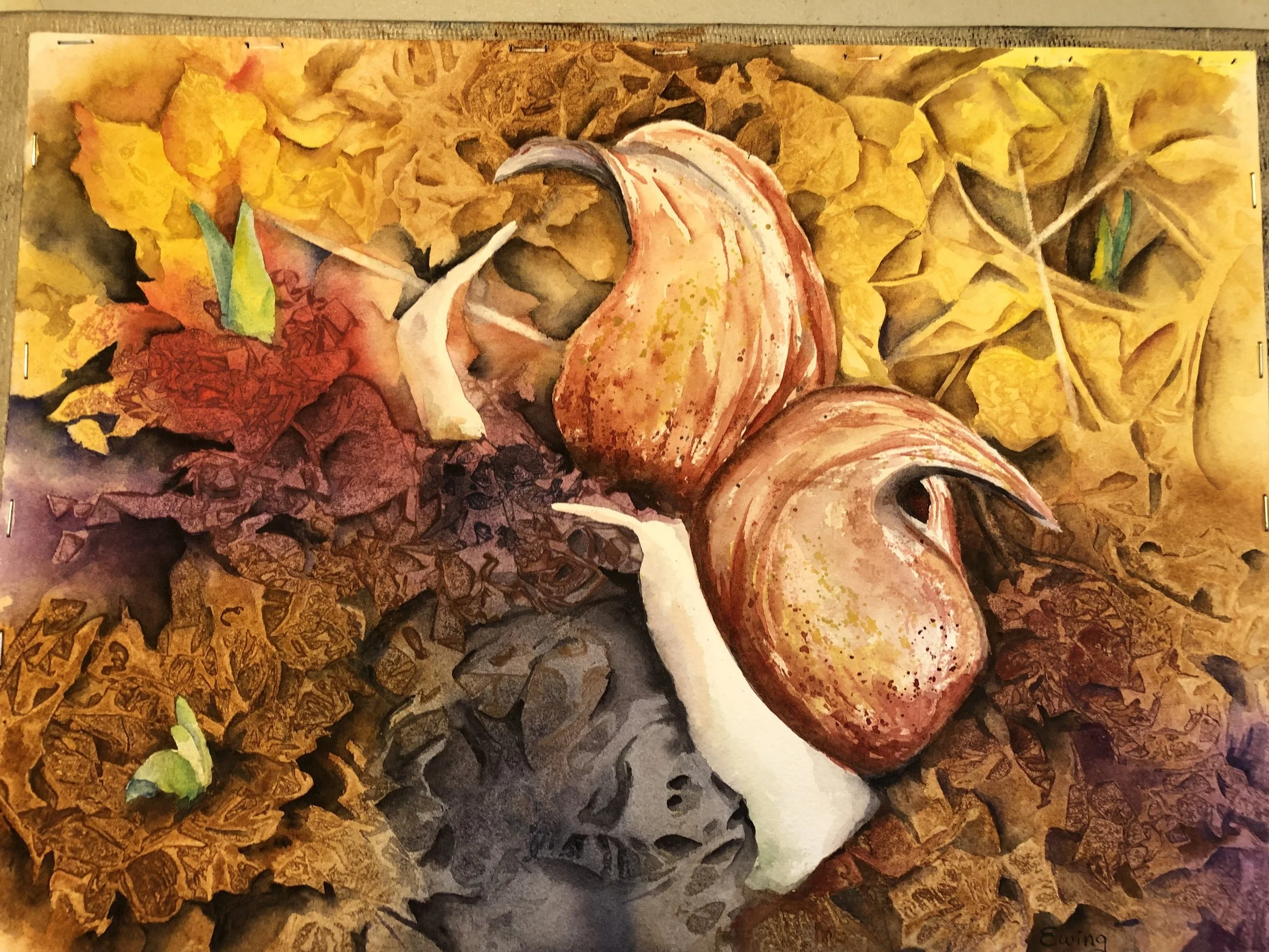 Carol	Ewing	Skunk Cabbage	Watercolor	 $400 
