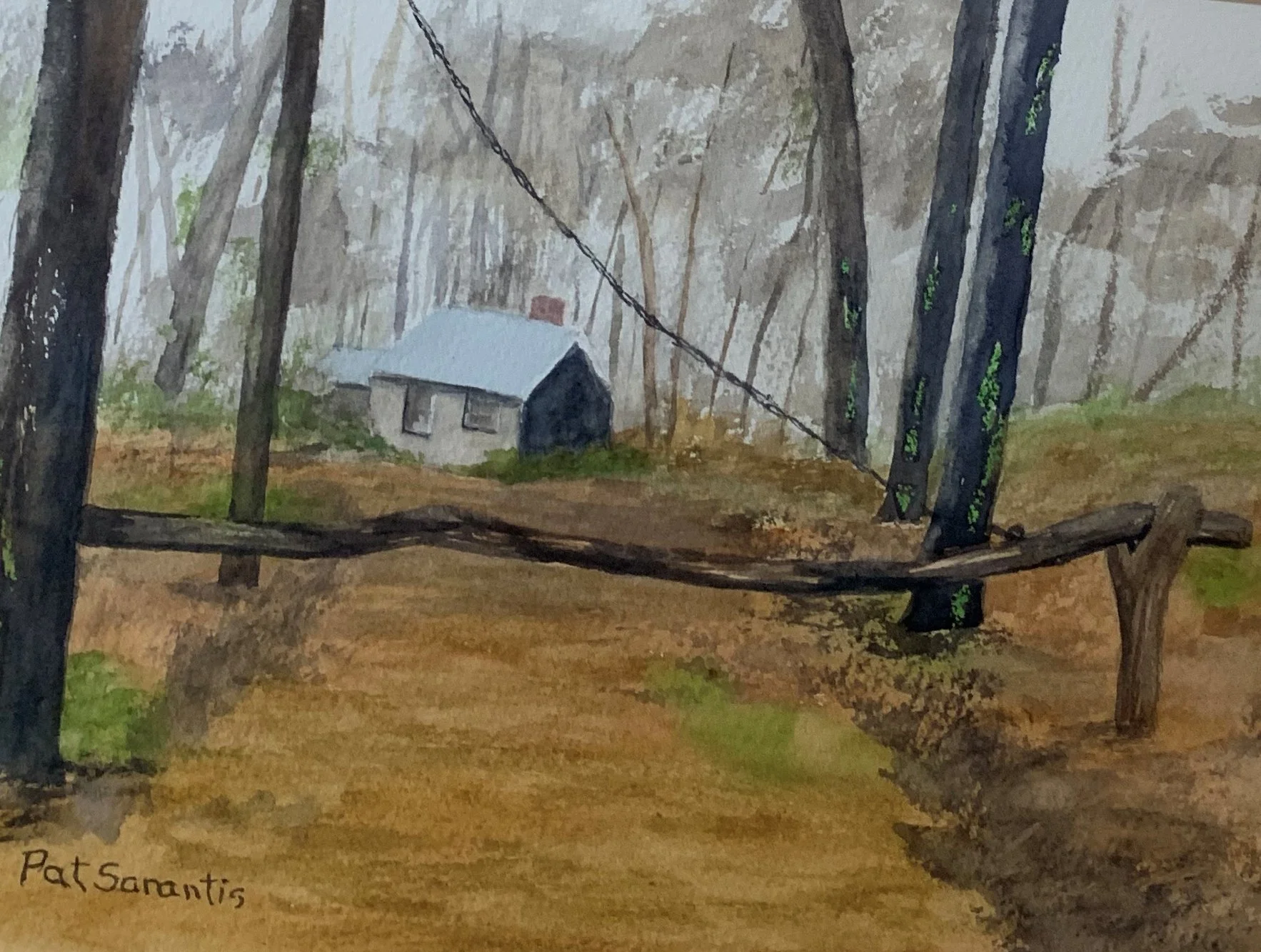 Pat	Sarantis	The Gate	Watercolor	 $250 