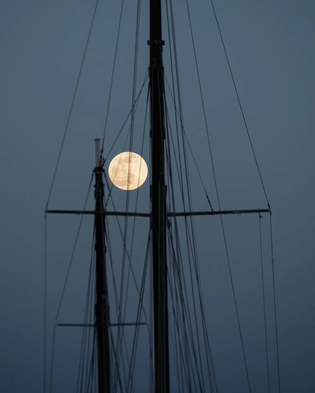 Rachel	Doddridge-Spring	Moon Between the Masts	Photography	 $300 