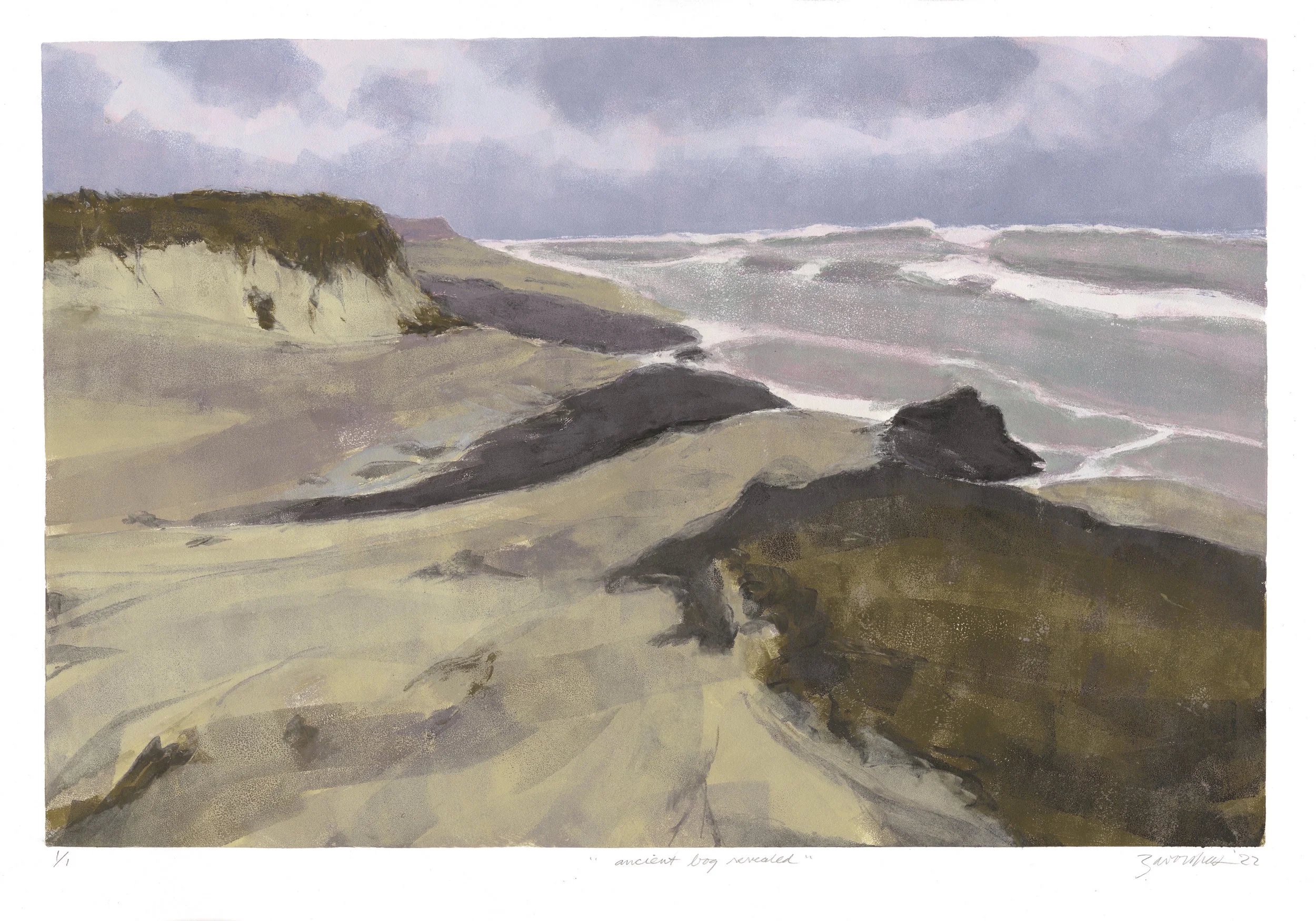 2nd  Place Printmaking - Joyce Zavorskas - Ancient Bog Revealed 
