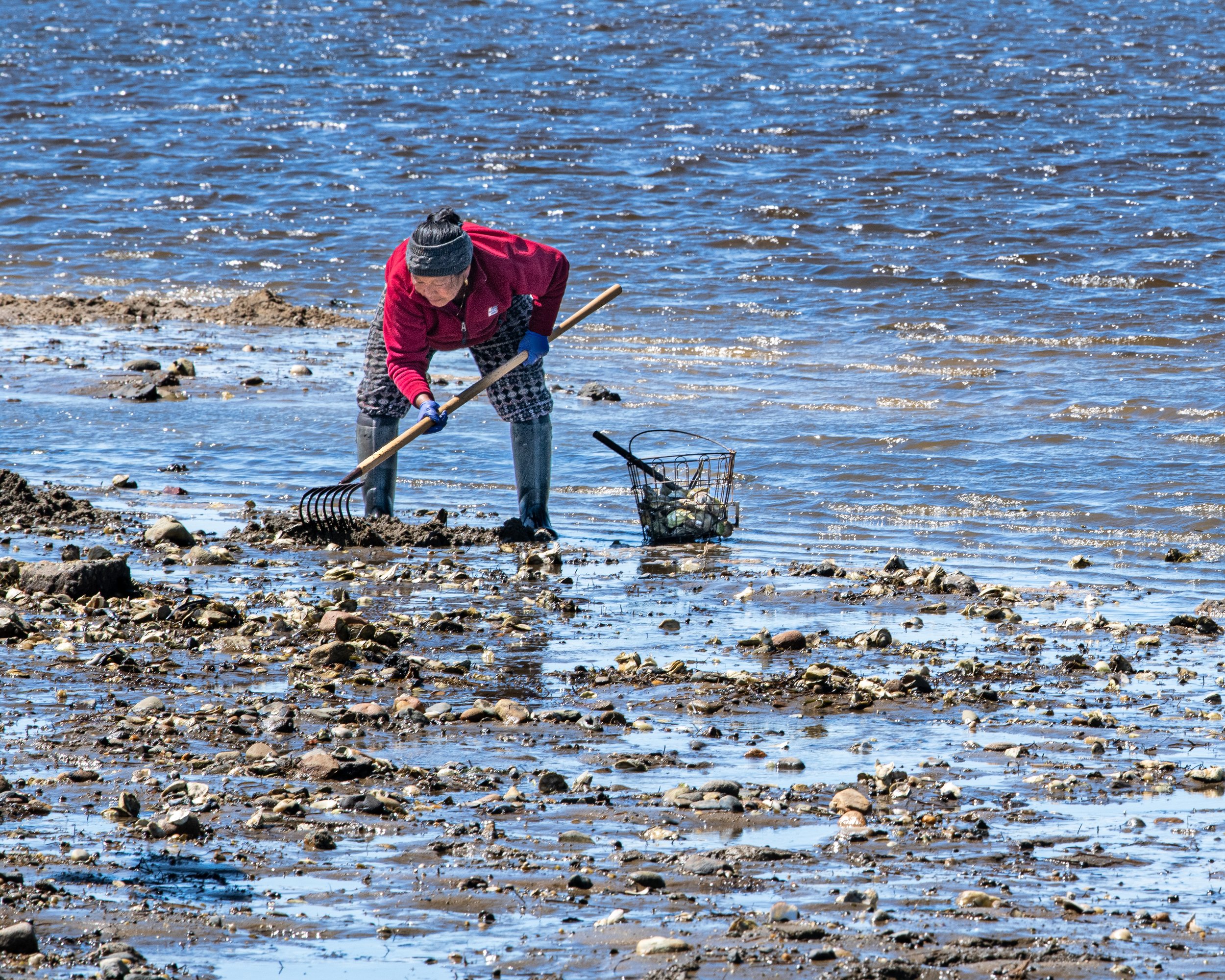 Meg	Clarke-	Raking Quahogs,	Photography	 $275 