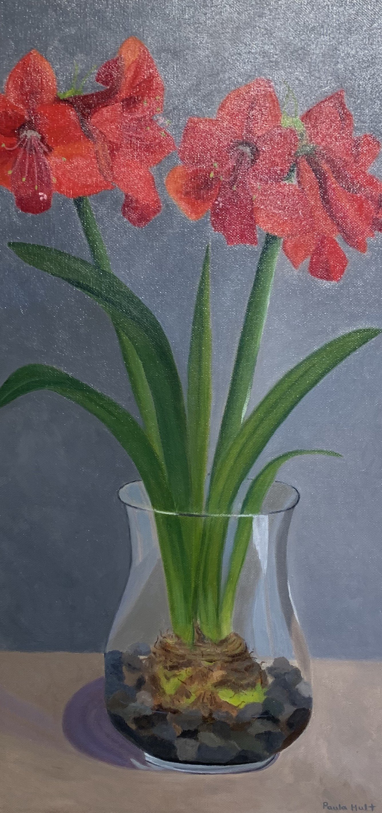 Paula	Hult-	Amaryllis Surprise,	Oil	 $750 