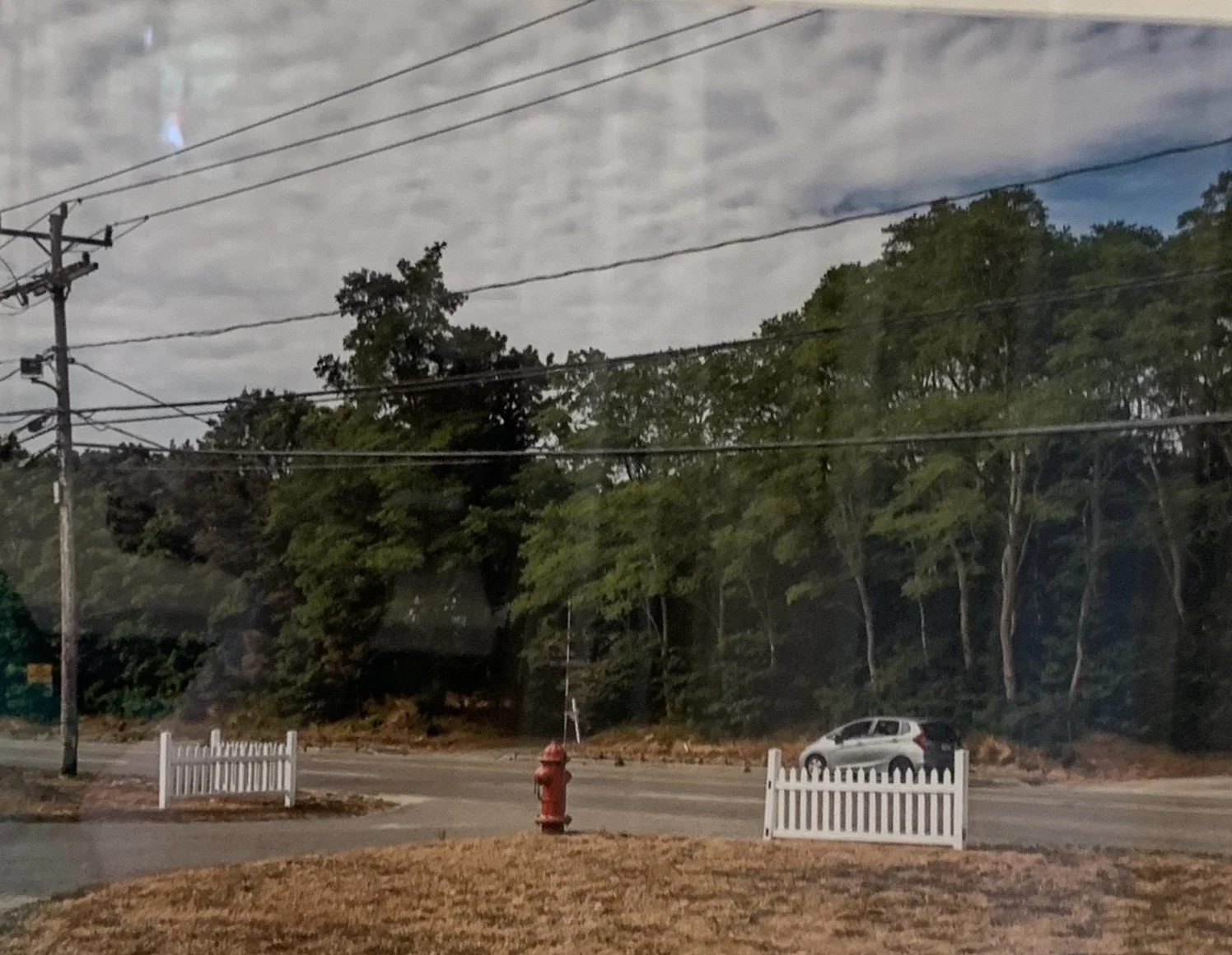 Lew	Schwartz-	Rt 6, Eastham,	Photograph	 $200 