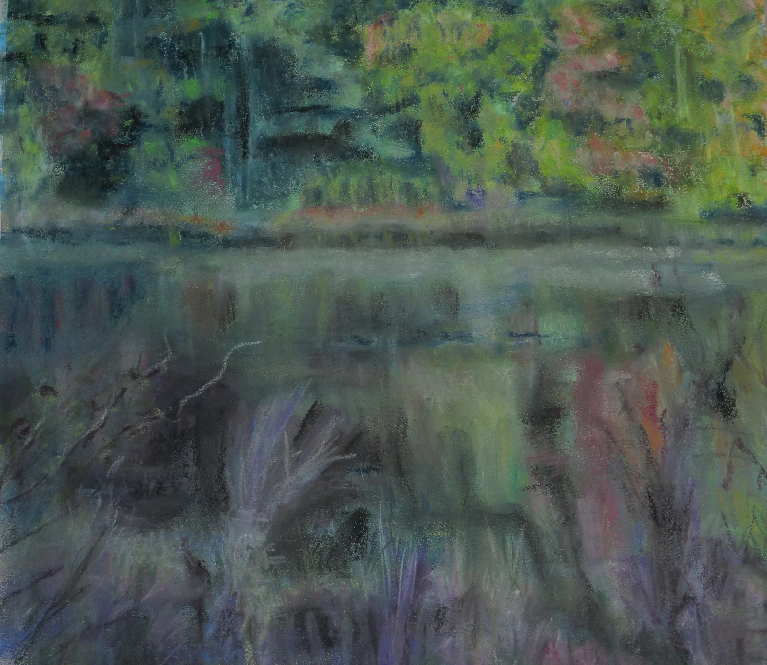 Dianne	Quigley-	Norfolk Streams and Grasses,	Pastel	 $95 