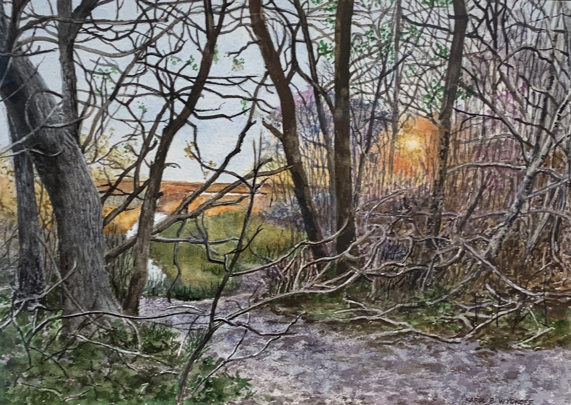 Watercolor/Pastel category- Second Place  Karol Wyckoff, Tangled, Watercolor 