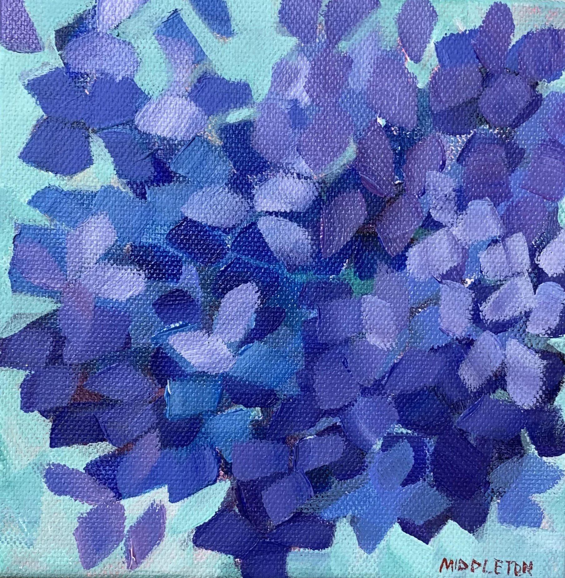 Amy	Middleton-	Little Blue,	Acrylic	 $100 
